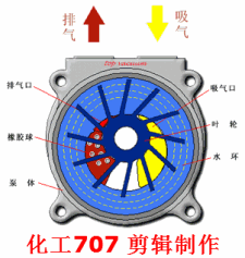 水環(huán)式真空泵2.gif